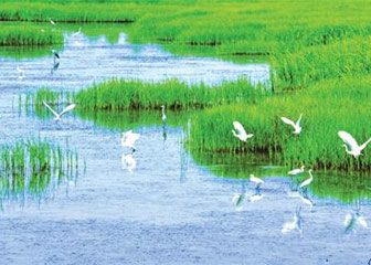 《莱西沽河休闲农业与乡村旅游带总体规划》初稿研讨会及补充考察顺利完成