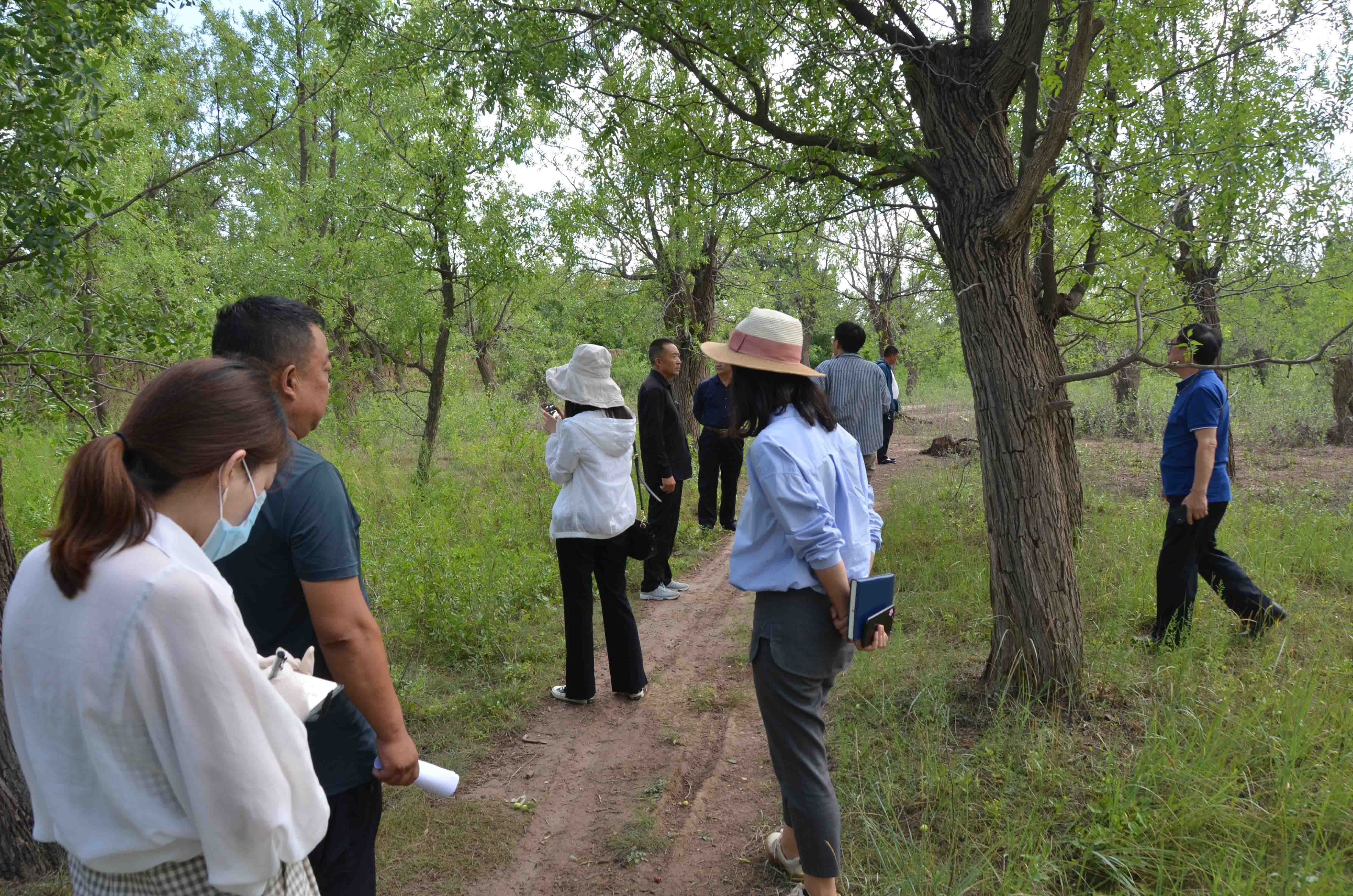 1598947408423863.jpg 08.jpg