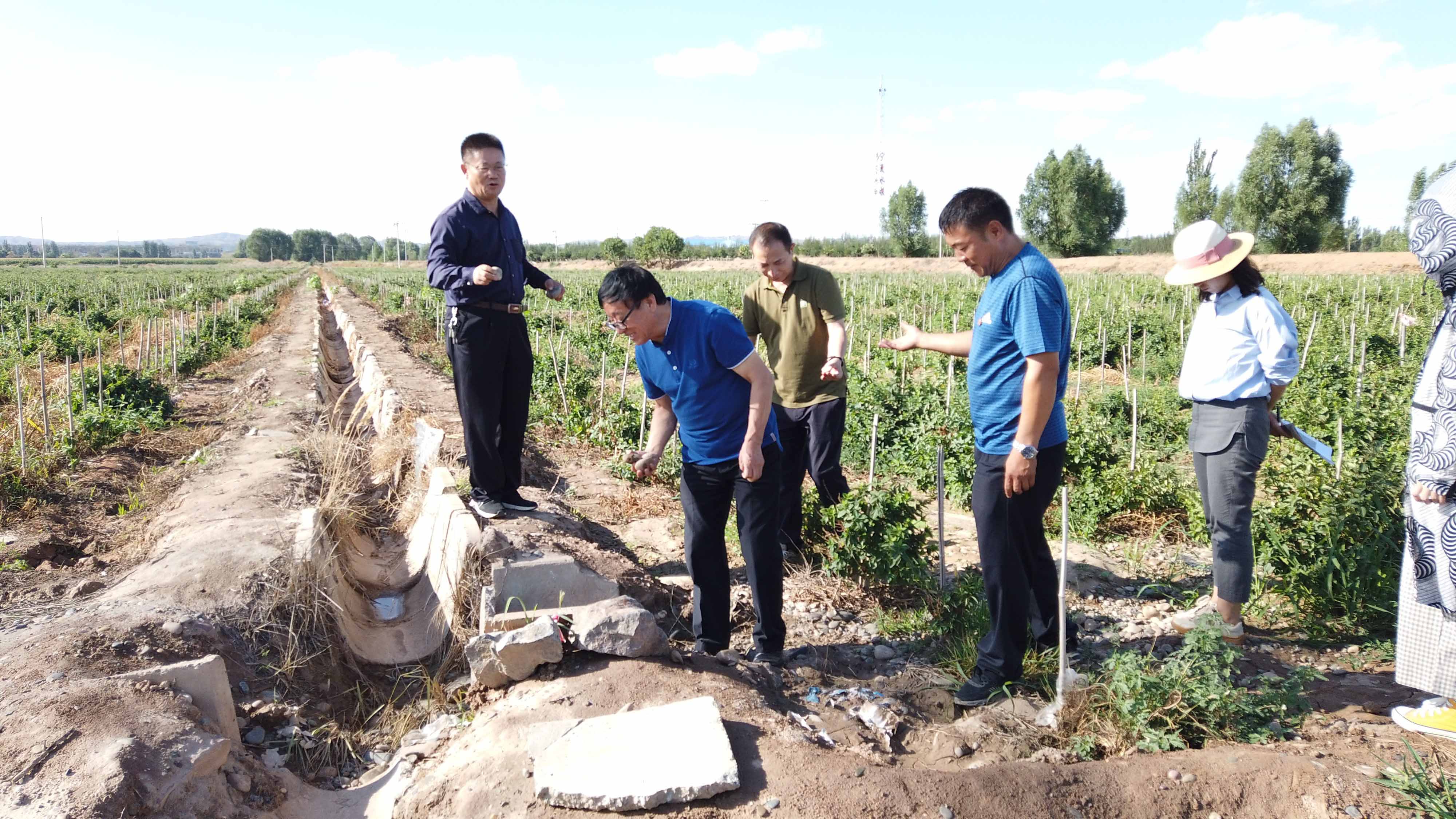 1598947429685152.jpg 09.jpg