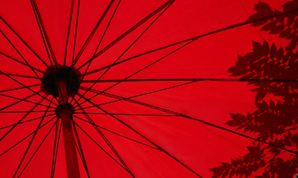 国务院关于新时代支持革命老区振兴发展的意见