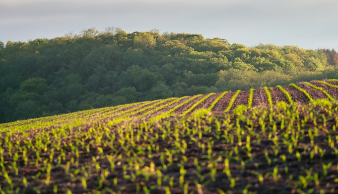 自然资源部、国家文物局关于在国土空间规划编制和实施中加强历史文化遗产保护管理的指导意见