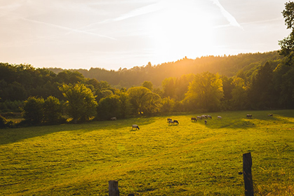 截至5月31日，赶快申报“全国休闲农业重点县”！