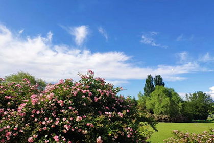 朱万峰：全域旅游要坚持生态打底