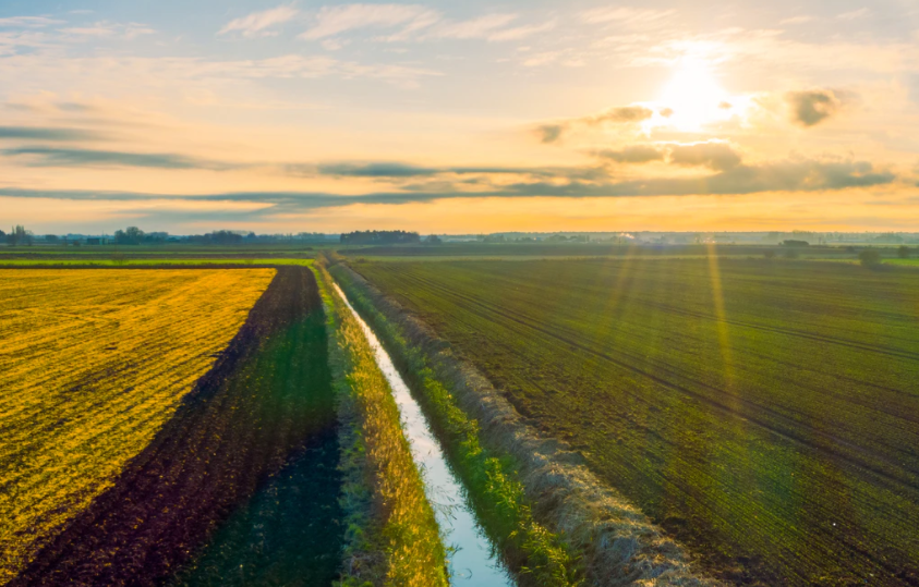 中华人民共和国乡村振兴促进法（全文）