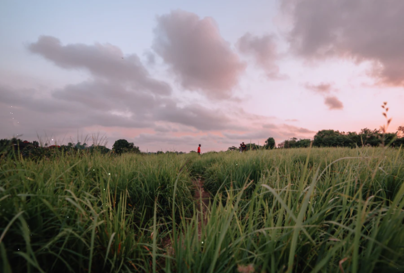 两部门：进一步加大开发性金融支持文化产业和旅游产业高质量发展