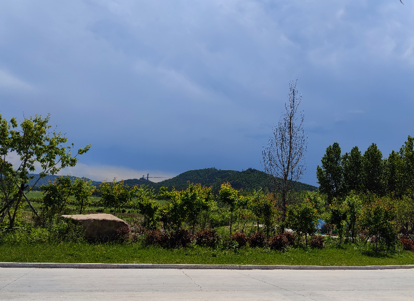 2020年文化和旅游发展统计公报发布！