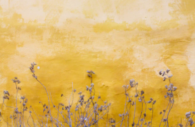 国家文物局推介百项2021年度“弘扬中华优秀传统文化、培育社会主义核心价值观”主题展览