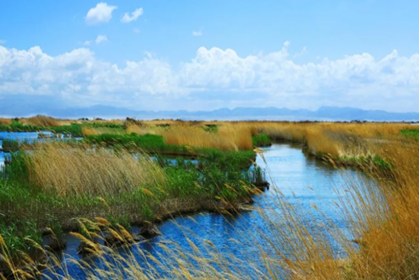 1627526780835409.jpg 图1.jpg