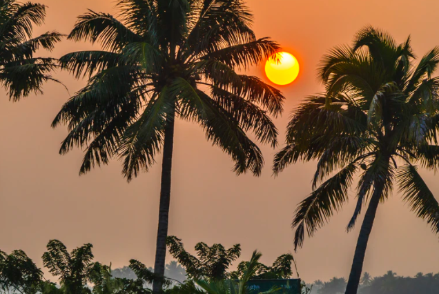 中共中央办公厅 国务院办公厅印发《关于在城乡建设中加强历史文化保护传承的意见》