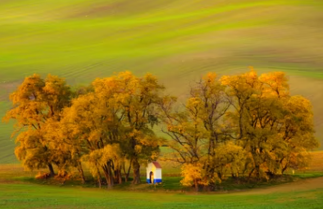 你的家乡可能入选了《全国乡村旅游扶贫示范案例选编》！