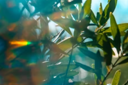 今年前三季度国内旅游情况怎么样？数据有了