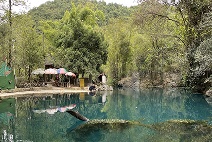 1636681747643060.jpg 1.jpg