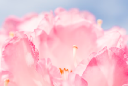 第一批国家级文明旅游示范单位评定结果公示！