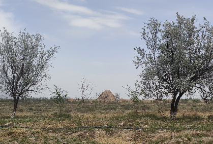 国家文物局关于印发《大遗址保护利用“十四五”专项规划》的通知