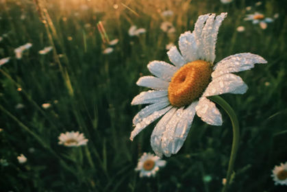 2022年全国文化和旅游厅局长会议召开