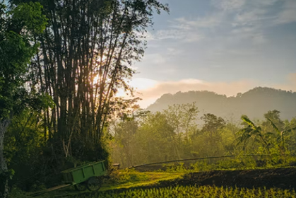 如何优化乡村休闲旅游业？这份规划提了要求