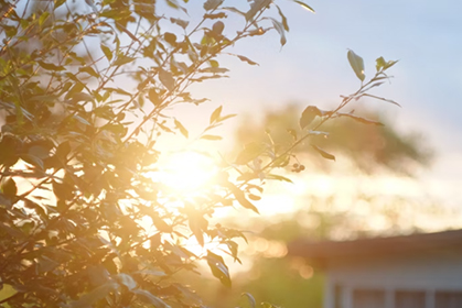 2022年中央一号文件发布！要点速读→