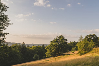 民政部 国家乡村振兴局关于动员引导社会组织参与乡村振兴工作的通知