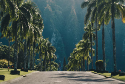 商务部等8部门：鼓励将老字号企业纳入旅游路线