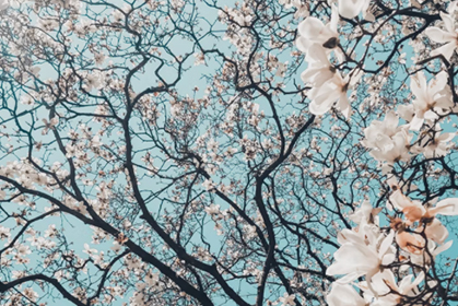 清明节假期，文化和旅游市场情况是这样的！