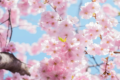 2022年一季度国内旅游数据情况