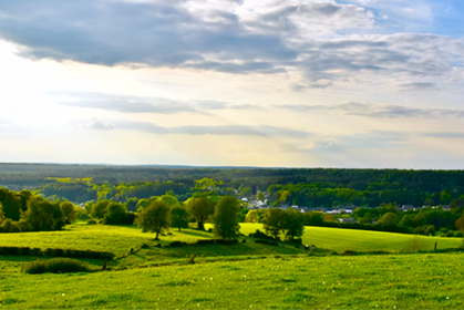 国家文物局、国家林业和草原局联合开展“红色草原”推介活动