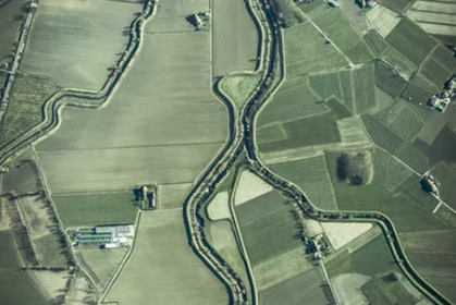 中央网信办等五部门印发《2022年数字乡村发展工作要点》