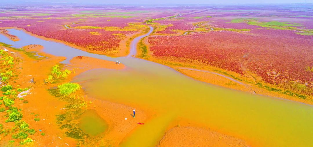 1668418238640162.jpg 2.jpg