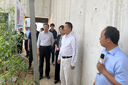 1684138463655844.jpg 2.jpg