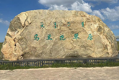 1724295604501965.jpg 未标题-2.jpg